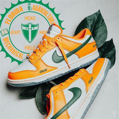 florida a&m nike dunks|Florida a&m athletics website.